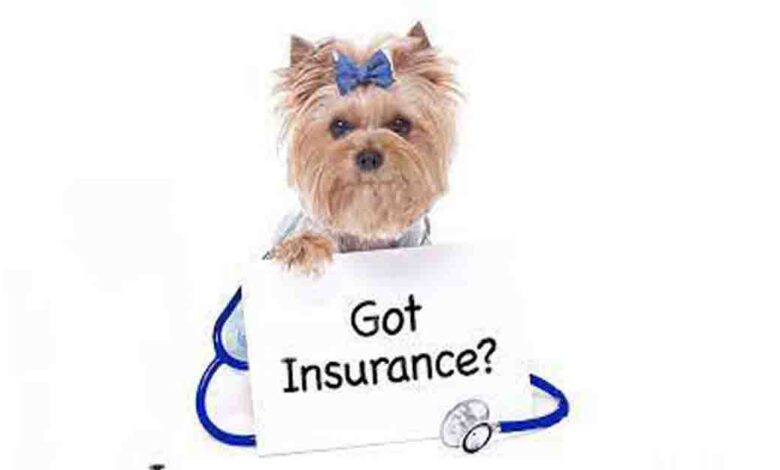 Pet Insurance Cover